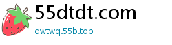 55dtdt.com